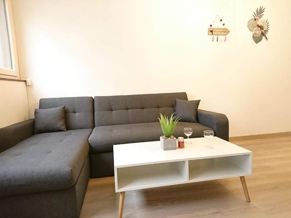 Lpa Apartment Annecy Bagian luar foto