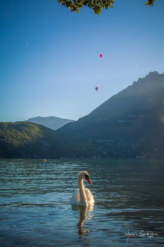 Lpa Apartment Annecy Bagian luar foto